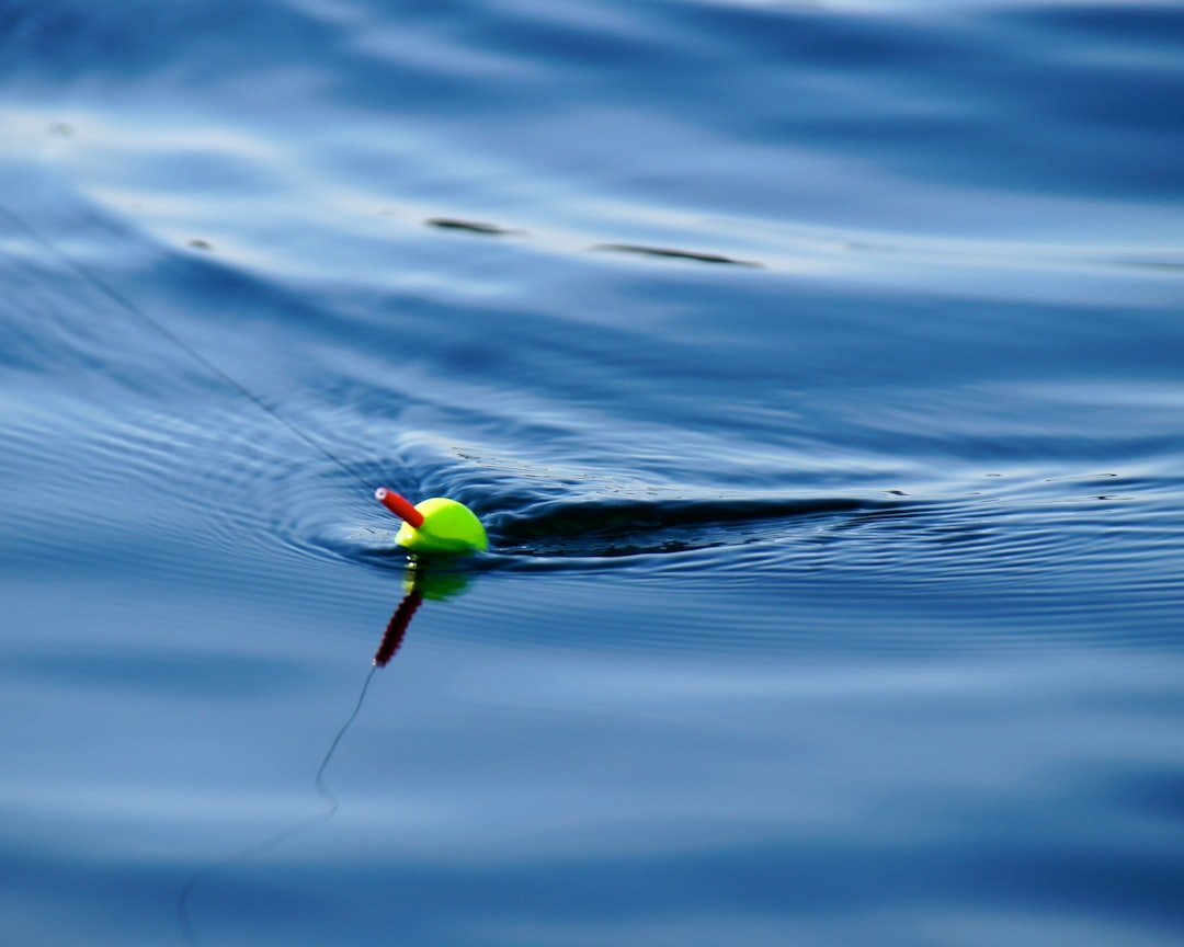 This photo was captured on a sunny and calm fall day at the lake. When the fish aren’t biting, the camera is snapping!